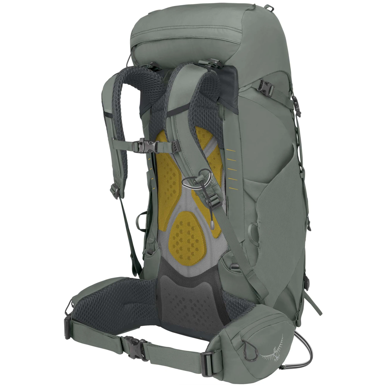 Osprey Kyte 38 Women's Trekking Backpack - Image 2